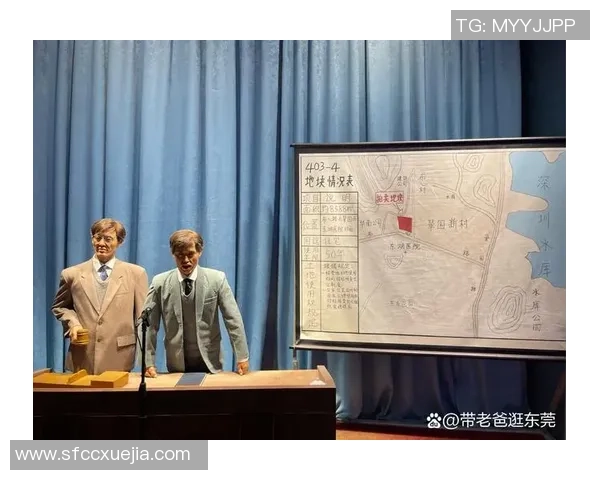 史鸿飞的传奇人生与不懈追求展现了时代的变迁与个人奋斗的力量