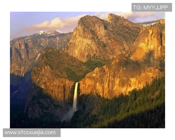 墨西哥与智利激战正酣文字直播全程回顾与精彩瞬间分享 墨西哥与智利激战正酣文字直播全程回顾与精彩瞬间分享