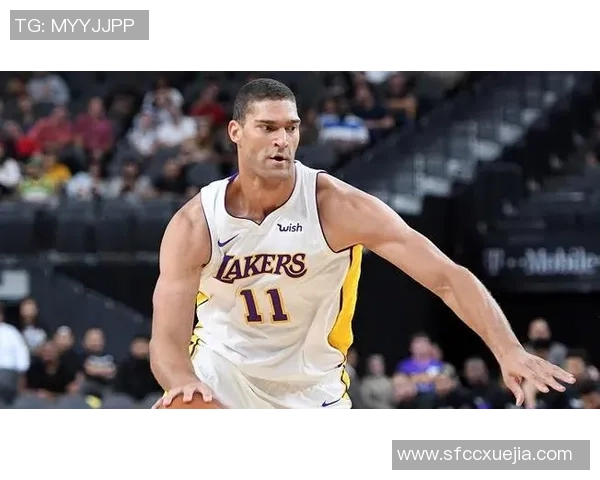 布鲁克洛佩斯：从篮下巨人到全能战士的蜕变之路