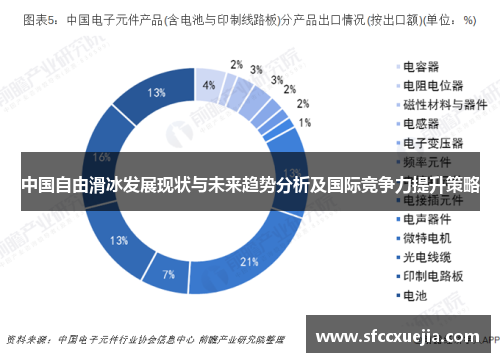 中国自由滑冰发展现状与未来趋势分析及国际竞争力提升策略