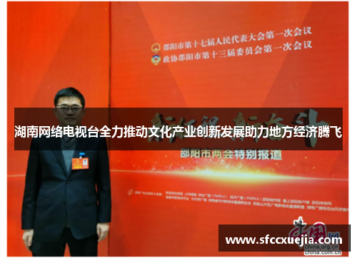 湖南网络电视台全力推动文化产业创新发展助力地方经济腾飞
