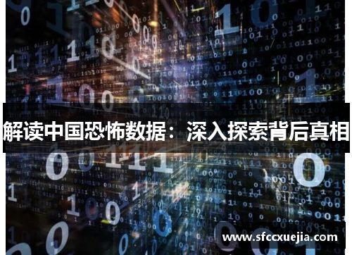 解读中国恐怖数据：深入探索背后真相