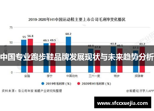 中国专业跑步鞋品牌发展现状与未来趋势分析