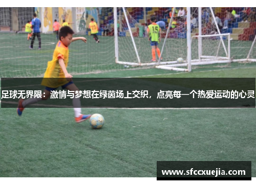 足球无界限：激情与梦想在绿茵场上交织，点亮每一个热爱运动的心灵