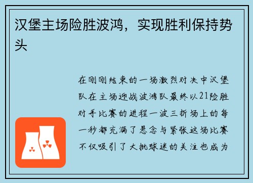汉堡主场险胜波鸿，实现胜利保持势头