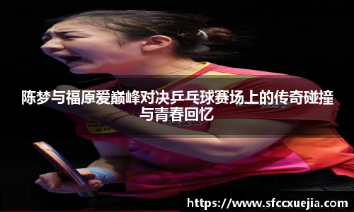 陈梦与福原爱巅峰对决乒乓球赛场上的传奇碰撞与青春回忆
